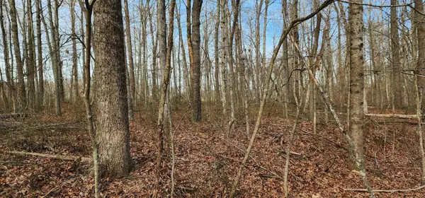 Tracy City, TN 37387,0 Hickory Hollow Sub RD