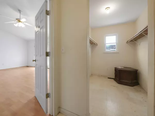 Flintstone, GA 30725,16 Japonica ST