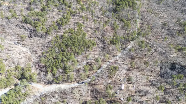 Soddy Daisy, TN 37379,9722 Millsap RD