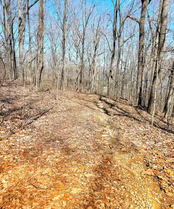 Guild, TN 37340,0 Browbend DR