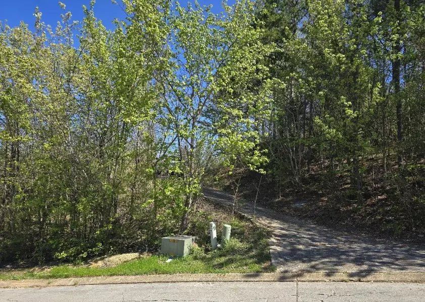 109 Brently Woods DR, Chattanooga, TN 37421