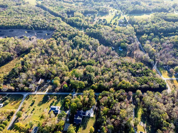 Bryant, AL 35958,1225 Co Rd 267