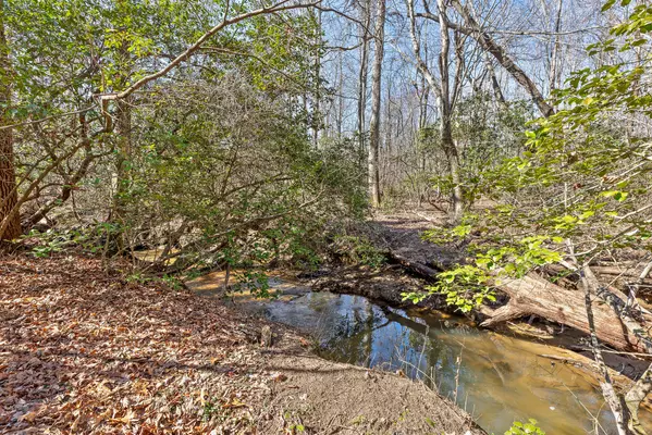 Mentone, AL 35984,611-5 Cove RD