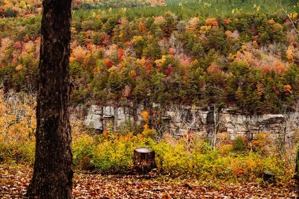 Soddy Daisy, TN 37379,0 Worley RD