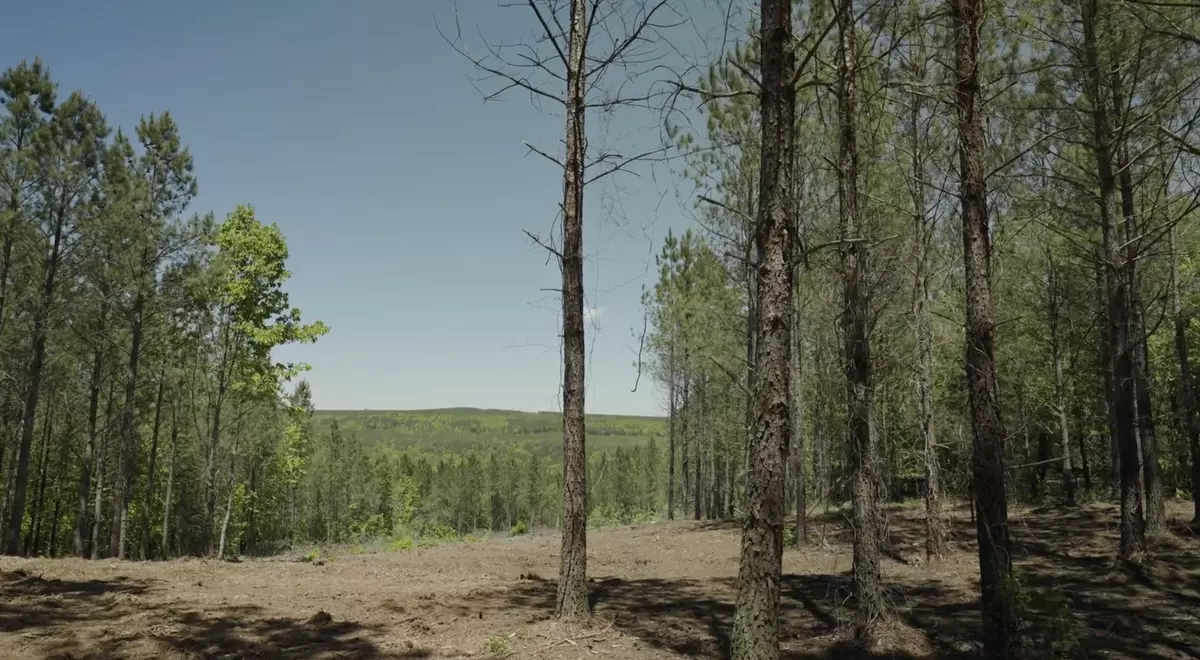 Soddy Daisy, TN 37379,0 Worley RD