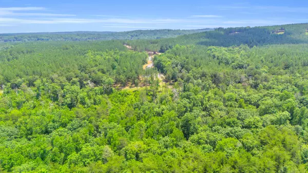 Soddy Daisy, TN 37379,0 Worley RD