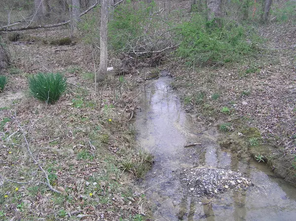 Pikeville, TN 37367,99 Prater RD
