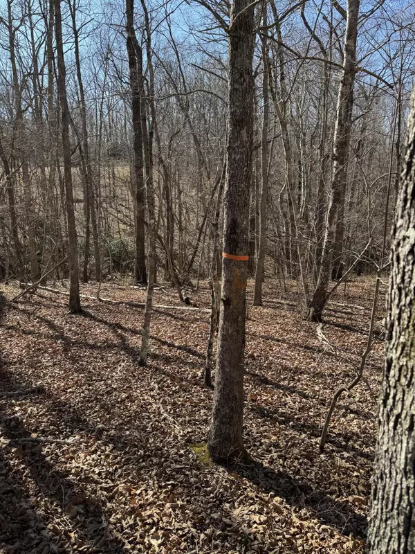 Dunlap, TN 37327,626 Woodland Ridge RD
