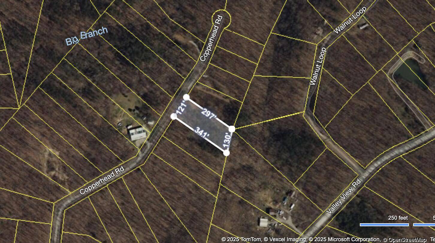 Pikeville, TN 37367,0 Copperhead RD