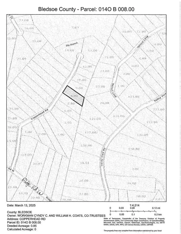 Pikeville, TN 37367,0 Copperhead RD