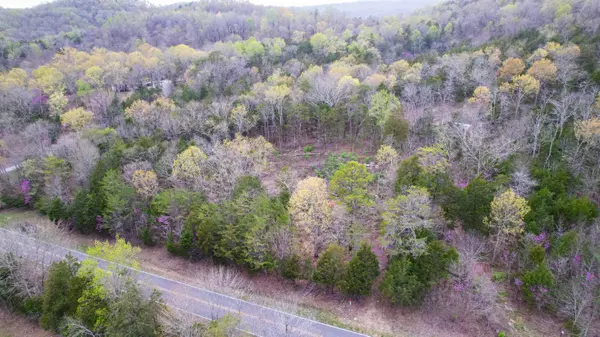 Trenton, GA 30752,5.13 Acres McKaig RD