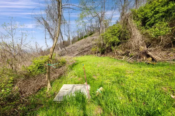 Lookout Mountain, GA 30750,9597 Scenic HWY