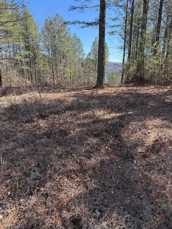 Guild, TN 37340,1375 Split Rail WAY