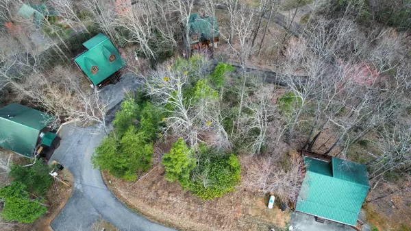 Sevierville, TN 37876,0 School House Gap RD