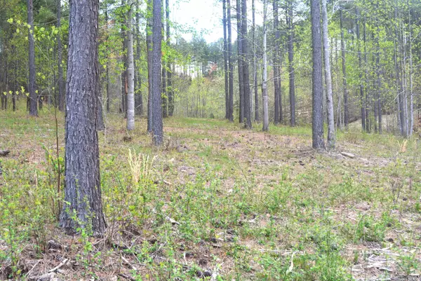 Guild, TN 37340,Lot 1099 Birds Eye Way