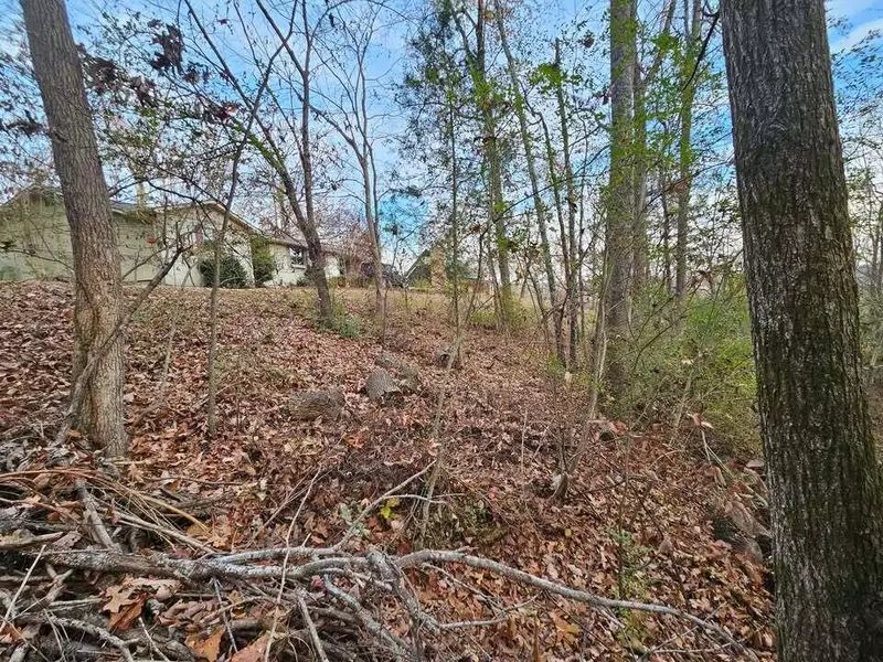 Lot 25 Countryside DR, Evensville, TN 37332