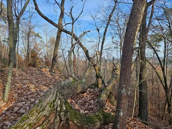 Evensville, TN 37332,Lot 25 Countryside DR