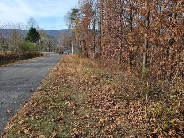Evensville, TN 37332,Lts 29/30 Smyrna Heights RD