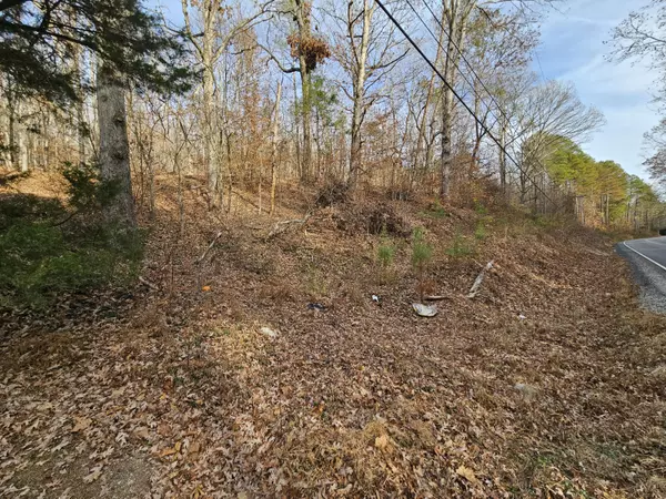 Evensville, TN 37332,Lot 7 Smyrna RD