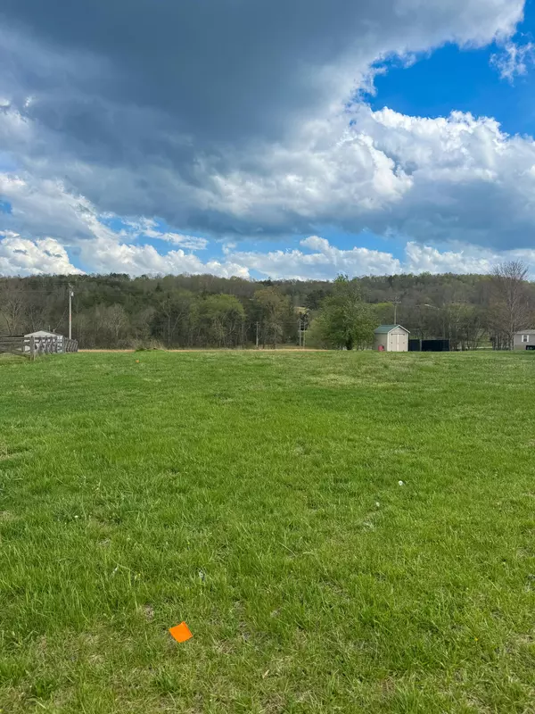Pikeville, TN 37367,0 Meadow VW