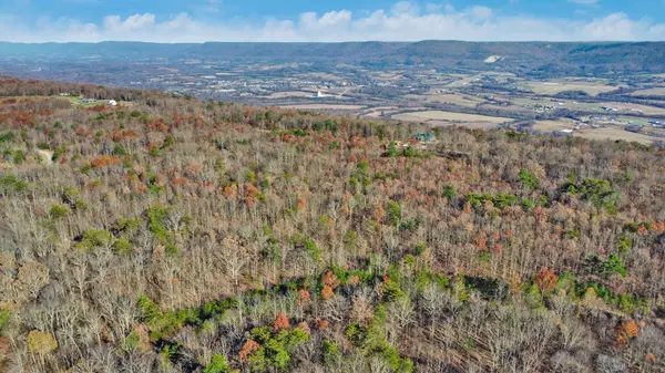 Pikeville, TN 37367,0 Maple DR