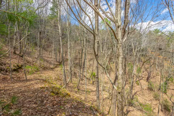 Ellijay, GA 30540,00 Grace CT