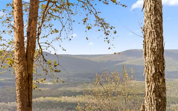 Mentone, AL 35984,27471 Co Rd 89