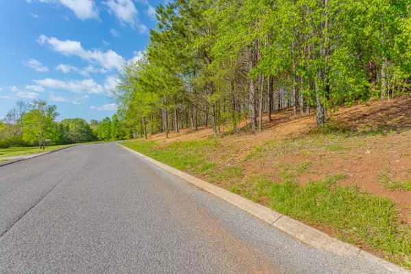 Flintstone, GA 30725,19 Turkey RUN