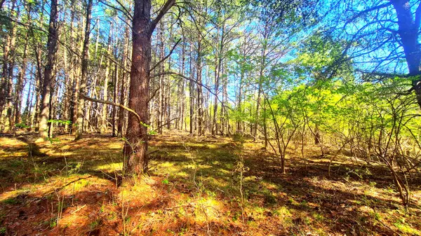 South Pittsburg, TN 37380,Lot 168, Teludachee TRL