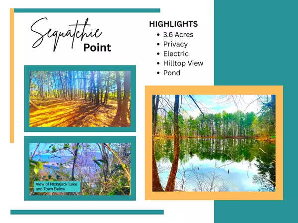 South Pittsburg, TN 37380,Lot 168, Teludachee TRL