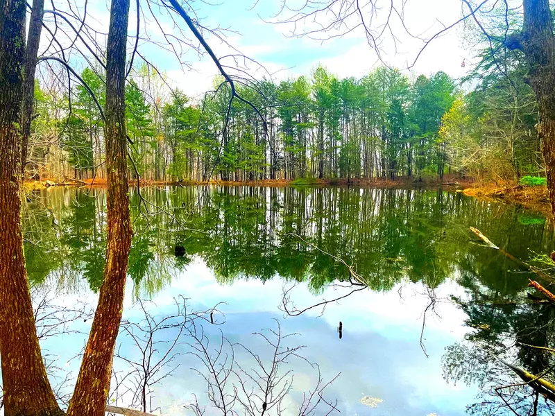 Lot 168, Teludachee TRL, South Pittsburg, TN 37380