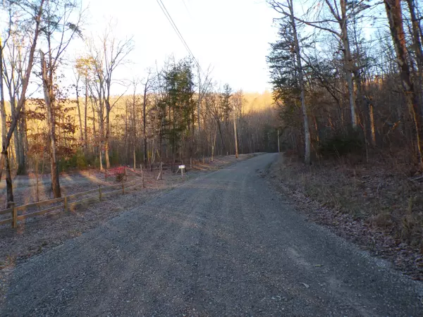 Pikeville, TN 37367,495 Dogwood Flat RD