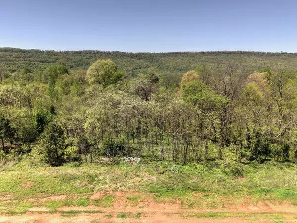 Flat Rock, AL 35966,10 Acres Cr- 792 8-9