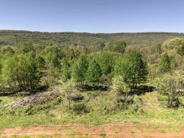Flat Rock, AL 35966,10 Acres Cr- 792 8-9