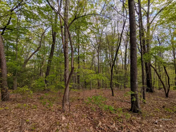 Old Fort, TN 37362,5694 Ladd Springs RD