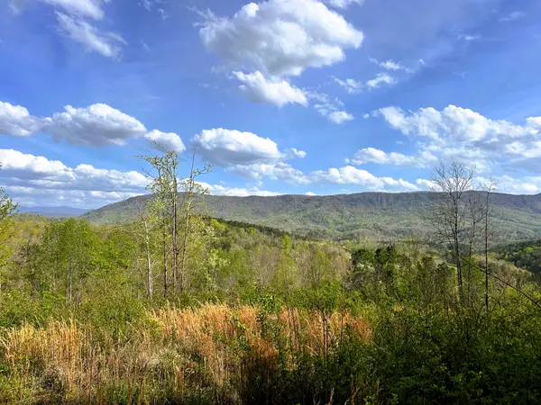 Englewood, TN 37329,250 County Road 476