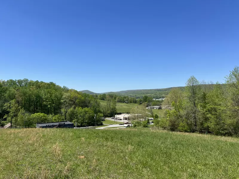 04 Brookstone Heights LN, Dayton, TN 37321
