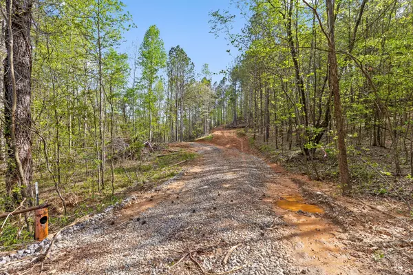 Chatsworth, GA 30705,0 Hwy 411 RD