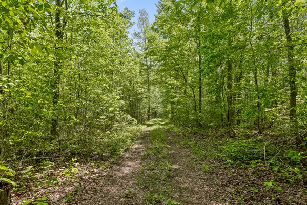 10 Acres Blaine Smith RD, Graysville, TN 37338