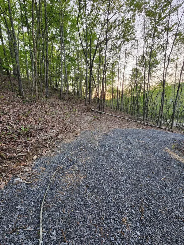 Birchwood, TN 37308,4622 Parker Loop RD