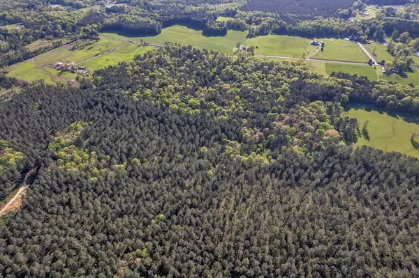 Crandall, GA 30711,37 Ac Carson AVE