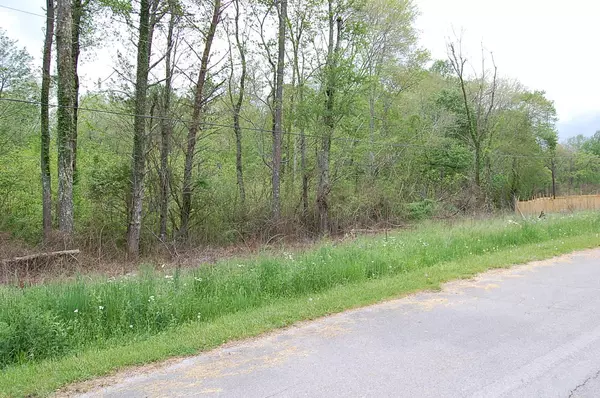 Gruetli Laager, TN 37339,67 51st AVE