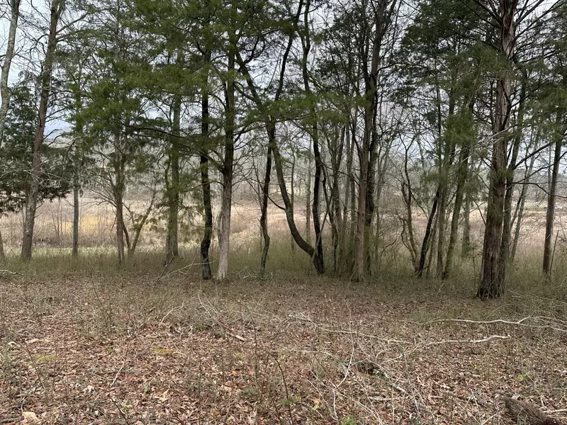 57 Captains WAY, Jasper, TN 37347