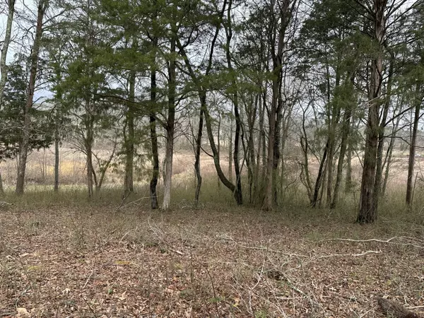 57 Captains WAY, Jasper, TN 37347