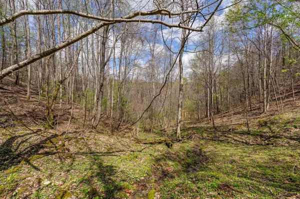 Del Rio, TN 37727,0 Johns Creek RD