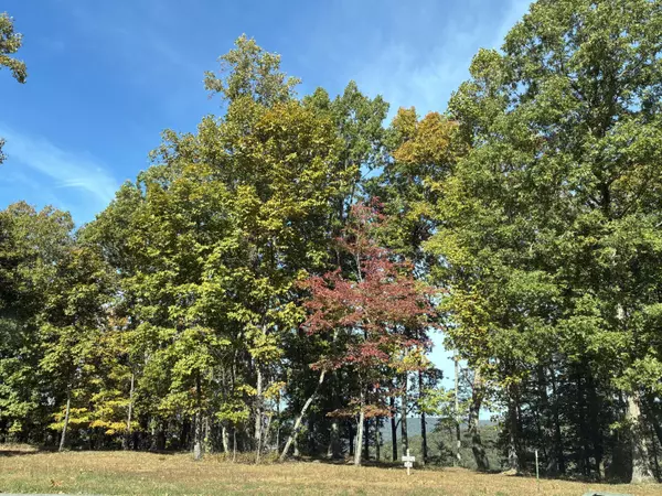460 Volunteer ST, Jasper, TN 37347