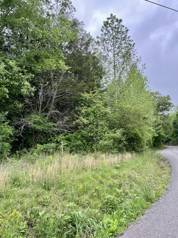 Dunlap, TN 37327,Lot 1 Jack Smith RD