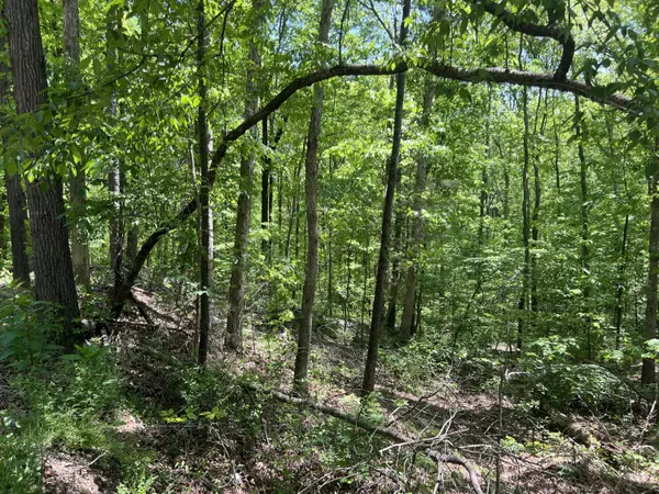 Calhoun, TN 37309,0 Hwy 163