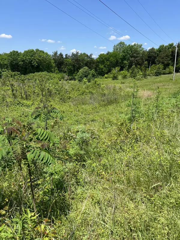 Riceville, TN 37370,0 Hwy 11