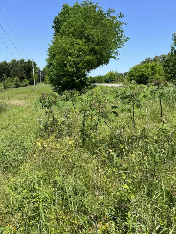 Riceville, TN 37370,0 Hwy 11